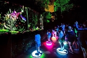 Vietnam tendrá su primer parque de luces de realidad virtual en Da Nang