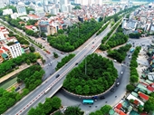 Hanoi refuerza cobertura de árboles en carreteras urbanas