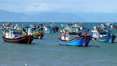 La provincia de Binh Thuan promueve la concienciación para luchar contra la pesca ilegal