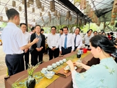 Semana cultural del té conecta Vietnam y China