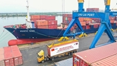 Carga de contenedores mediante puertos marítimos vietnamitas se duplica en siete años