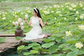 Impresionante estanque de lotos en las afueras de Hanói