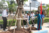 Embajadores y representantes de organizaciones internacionales plantan Árboles de la Amistad en Hanói