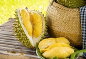 Las exportaciones de durian se multiplican por seis