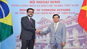 Impulsar más la asociación integral entre Vietnam y Brasil