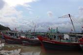 Thanh Hoa promueve propaganda contra la pesca ilegal