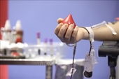 Día Internacional del Donante de Sangre Garantizar el apoyo a los donantes voluntarios