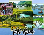 Búsquedas sobre turismo de Vietnam ocupan séptimo lugar a nivel mundial