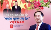 El valor de la “diplomacia de bambú” de Vietnam