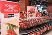 Esfuerzos para promocionar la fruta vietnamita en el mercado tailandés