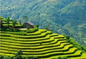 La prensa internacional encuentra los sitios turísticos de Vietnam como los mejores lugares para visitar