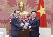Vietnam y Japón promueven cooperación de la transición de energía