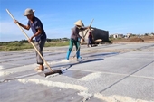 Expertos proponen nuevas estrategias necesarias para el desarrollo de la industria de la sal en Vietnam