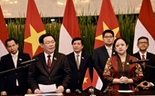 Vietnam e Indonesia buscan concretar la aspiración de convertirse en países desarrollados y ricos