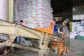 Exportaciones de arroz de Vietnam registran avances en mercados tradicionales