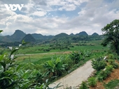 Reverdecen las mesetas rocosas de Ha Giang