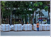 Empresa vietnamita por exportar primer lote de cemento al mercado estadounidense