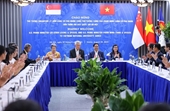 Nueva fuerza impulsora para la cooperación educativa Vietnam-Singapur