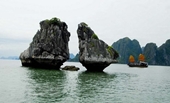Proteger el islote de Trong Mai del riesgo de deslizamiento