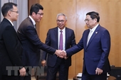 Primer ministro vietnamita solicita fortalecer la conectividad entre las empresas nacionales y socios indonesios