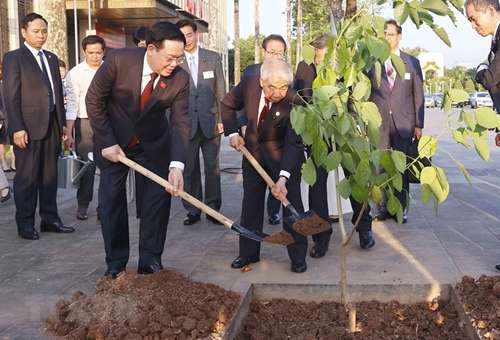 El presidente del Senado japonés regala un cerezo rojo de Osaka a la Asamblea Nacional de Vietnam