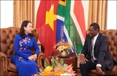 Vicepresidenta de Vietnam sostiene conversaciones con el Vicepresidente de Sudáfrica