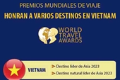 Premios mundiales de viaje honran a varios destinos en Vietnam