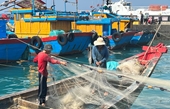 Apoyar a Vietnam para que se convierta en un modelo mundial de desarrollo sostenible de la industria pesquera