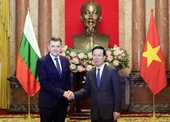 Presidente vietnamita recibe a embajadores extranjeros recién acreditados