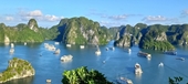 Bahía de Ha Long - Archipiélago de Cat Ba nueva impronta de Vietnam en la lista del Patrimonio Mundial