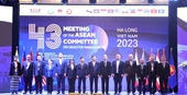 Vietnam comprometido a impulsar la gestión de desastres naturales en la ASEAN