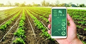 Promueven transformación digital en sector agrícola en Vietnam