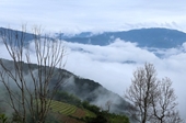 Ka Lang, un destino maravilloso para “cazar nubes” en noroeste de Vietnam