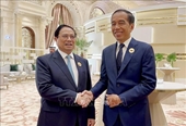 Primer Ministro de Vietnam se reúne con altos dirigentes de varios países al margen de la cumbre CCG-ASEAN