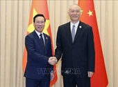 El presidente Vo Van Thuong se reúne con alto dirigente del Partido Comunista de China