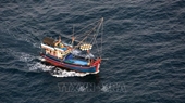 Vietnam refuerza soluciones contra la pesca ilegal