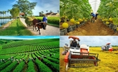 Aprueba Vietnam estrategia de desarrollo de ocupaciones rurales