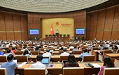 La Asamblea Nacional aprueba resolución sobre resultados de votos de confianza