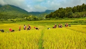 Binh Lieu conquista a turistas con su belleza natural y valores culturales