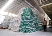 Delta del Mekong mantiene buen ritmo de exportación de arroz