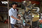 Agricultores se hacen millonarios con el cultivo de café en Son La