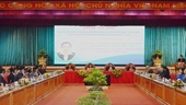 Provincia de Binh Dinh presenta su potencial y ventajas a socios extranjeros