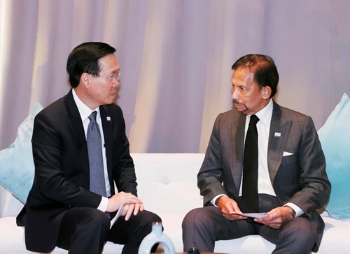 Vietnam y Brunei enfatizan cuatro esferas prioritarias de cooperación