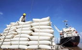 Valor de exportación de arroz de Vietnam consigue nuevo récord