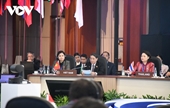 Importantes actividades bilaterales del representante vietnamita en el marco del APPF 31