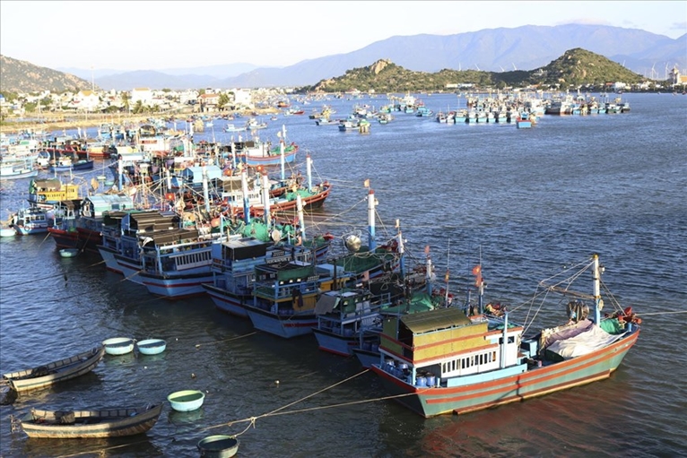 Vietnam trabaja por lograr pesca sostenible