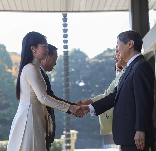 El presidente Vo Van Thuong se reúne con el Emperador de Japón