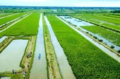 Vincular el desarrollo turístico de Ciudad Ho Chi Minh con el delta del Mekong