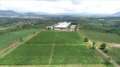 Gia Lai, un punto brillante de agricultura de alta tecnología