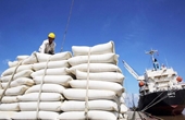 Exportaciones de arroz vietnamita alcanzan cifras sin precedentes